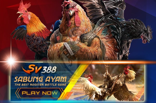 Game Sabung Ayam Sv388